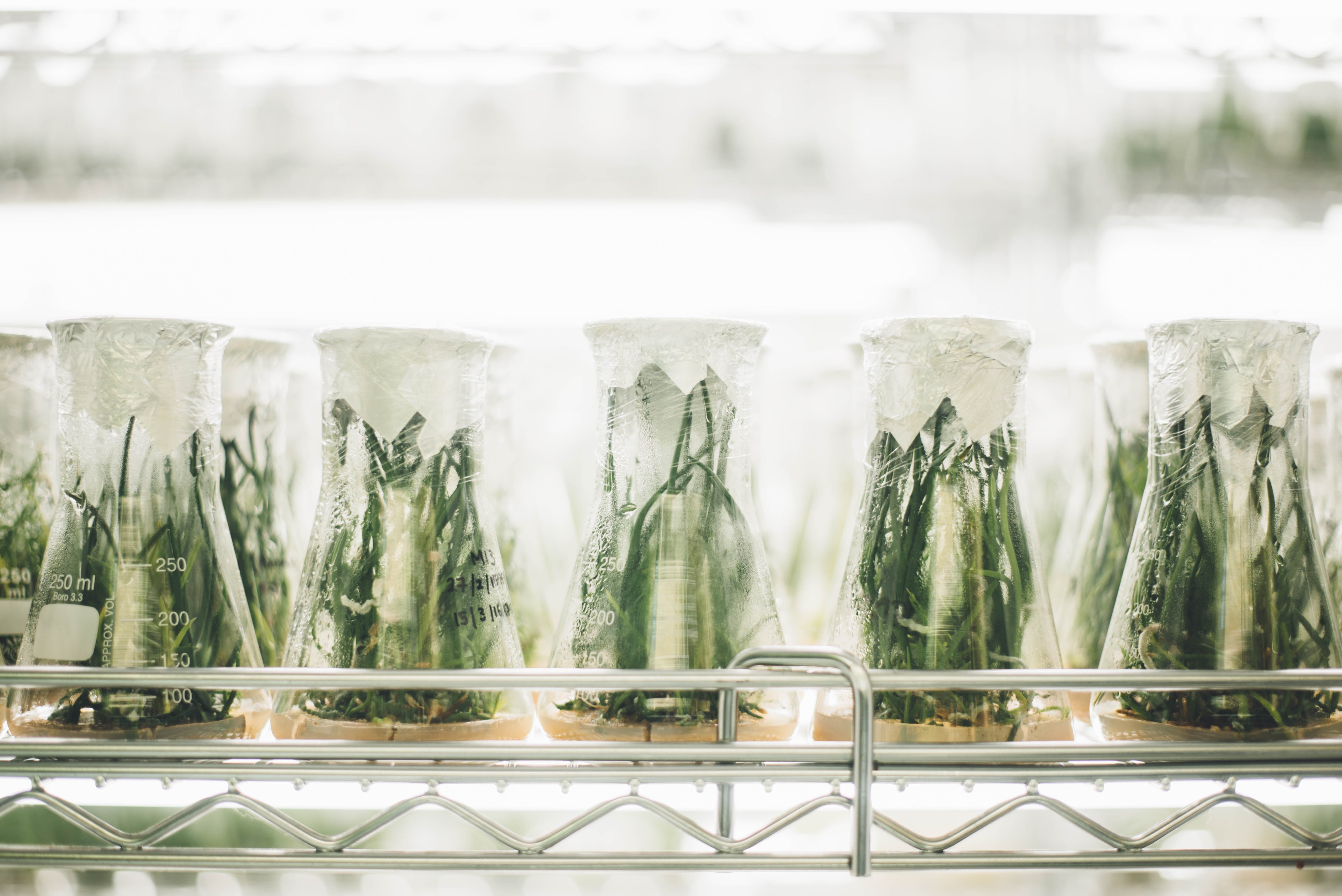 Our Clean Standards: What We Formulate Without