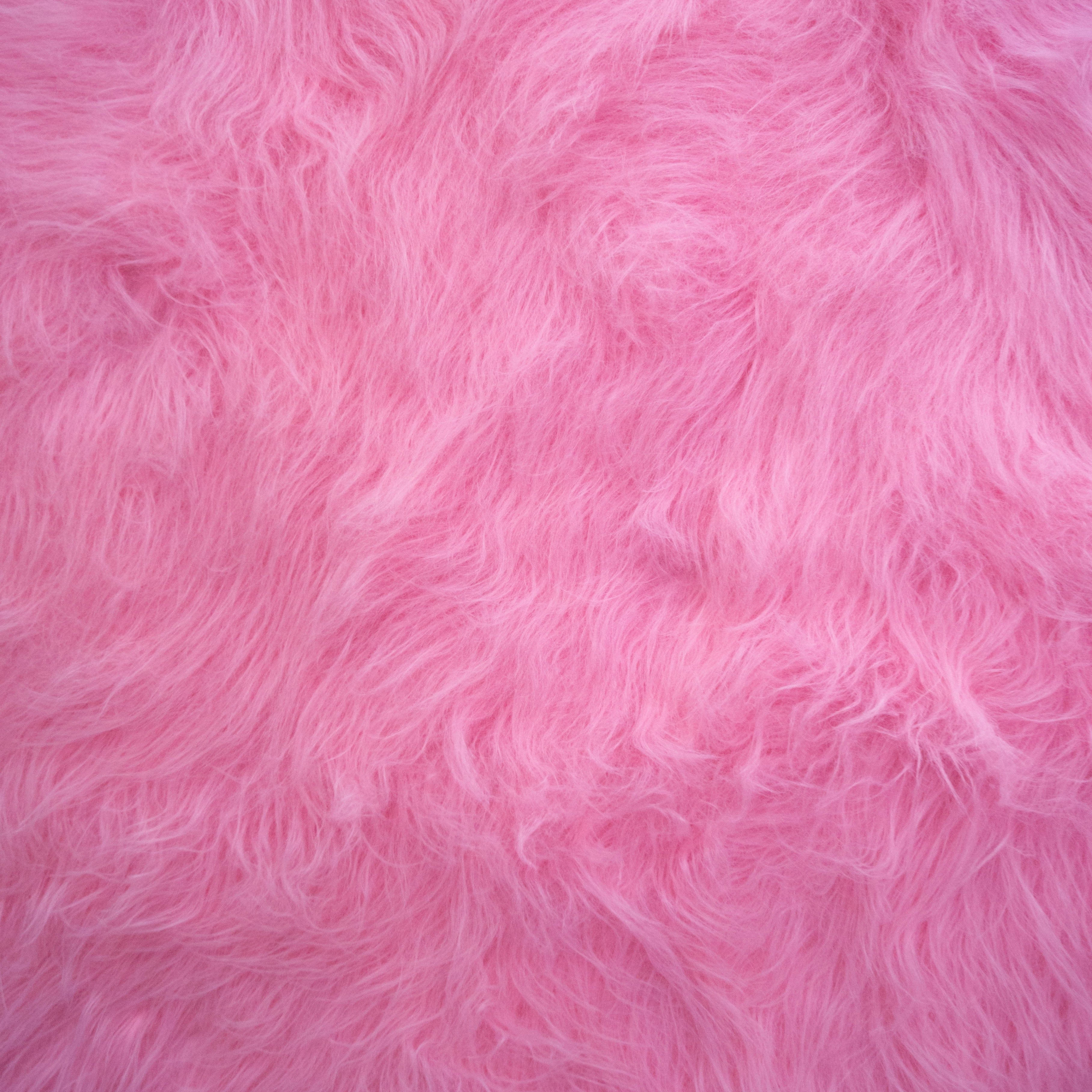 Cruelty-Free Beauty for Every-Bunny