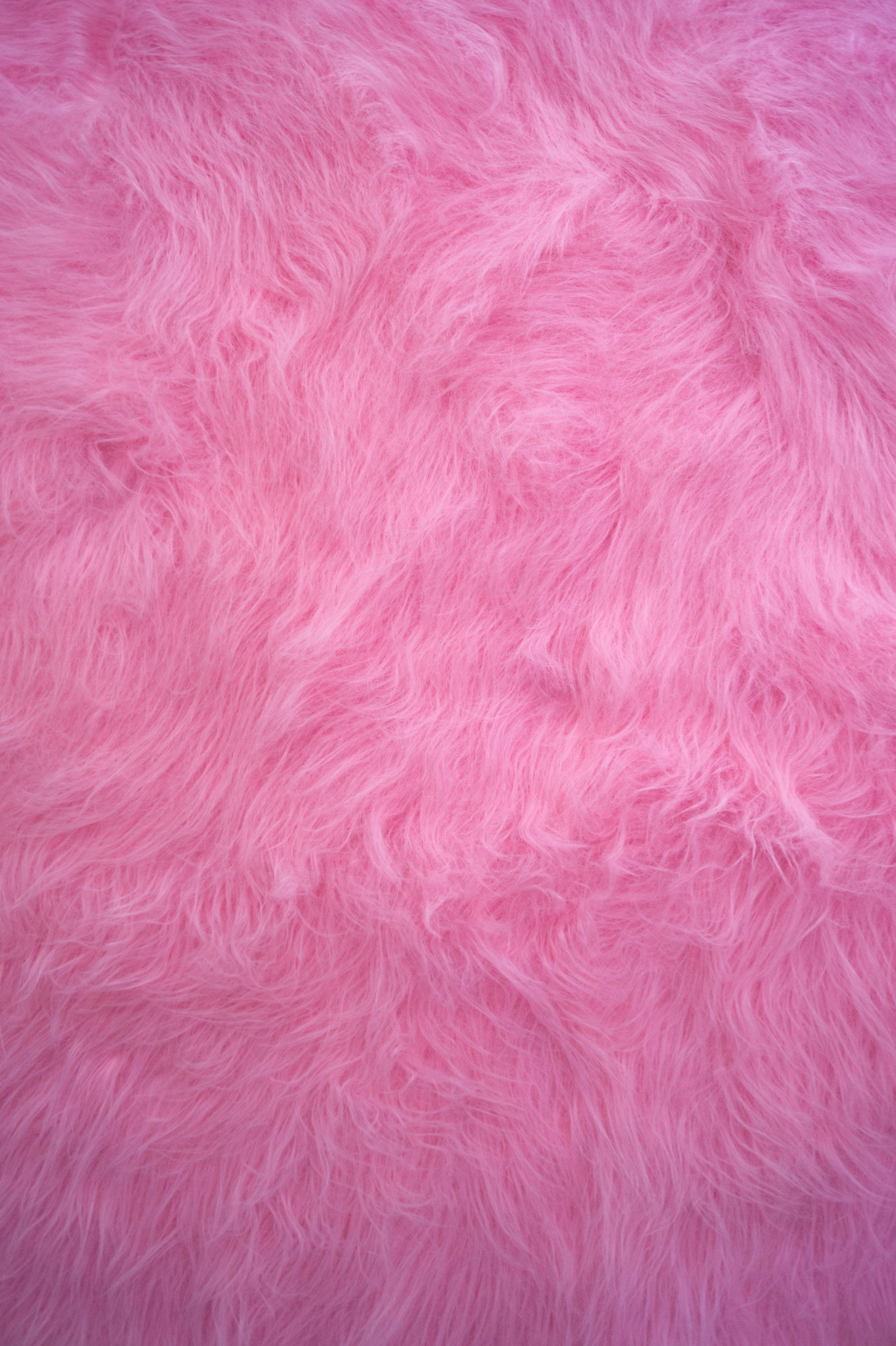 Cruelty-Free Beauty for Every-Bunny