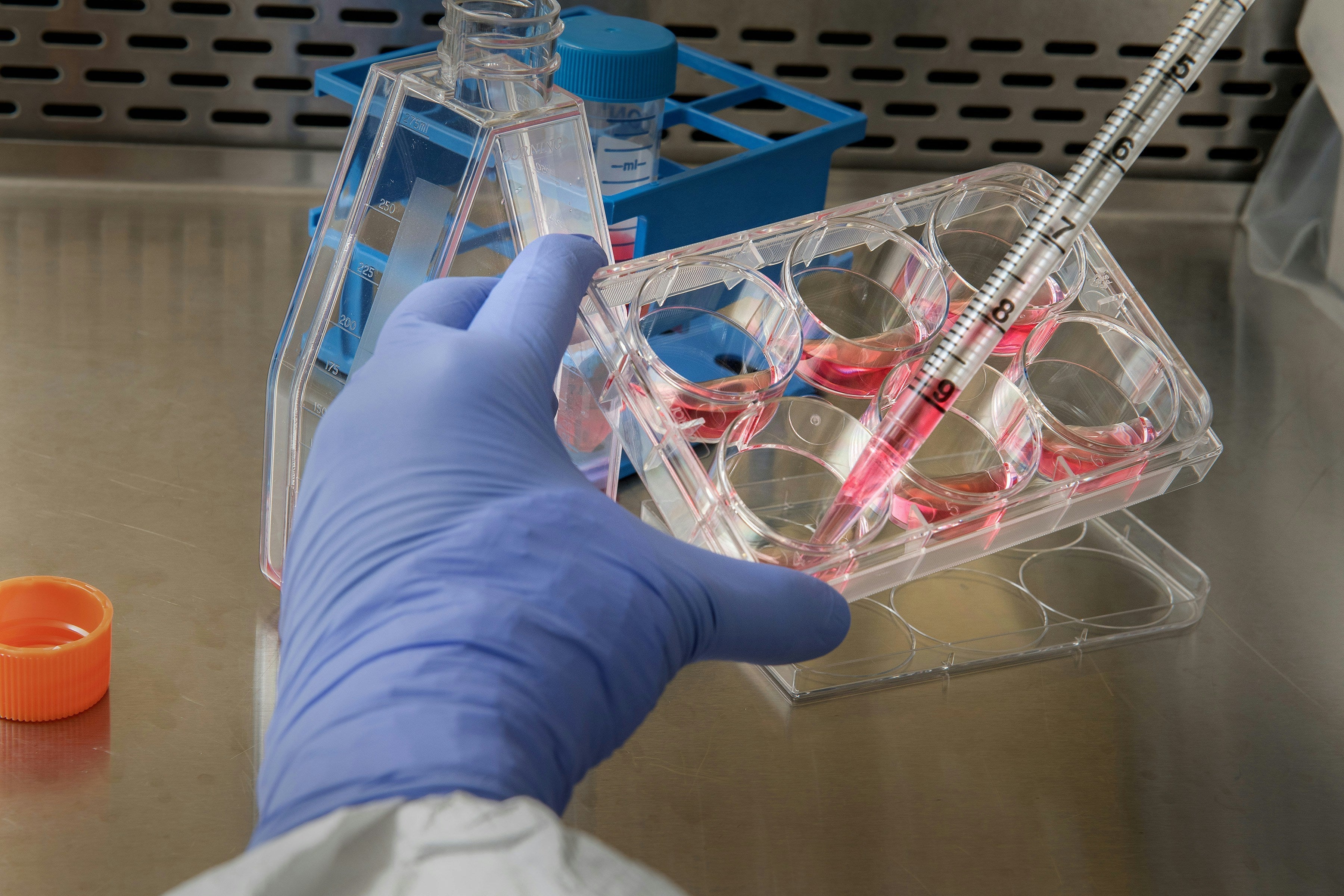 Fake It Till You Make It: Bioengineered Vs. Natural Ingredients