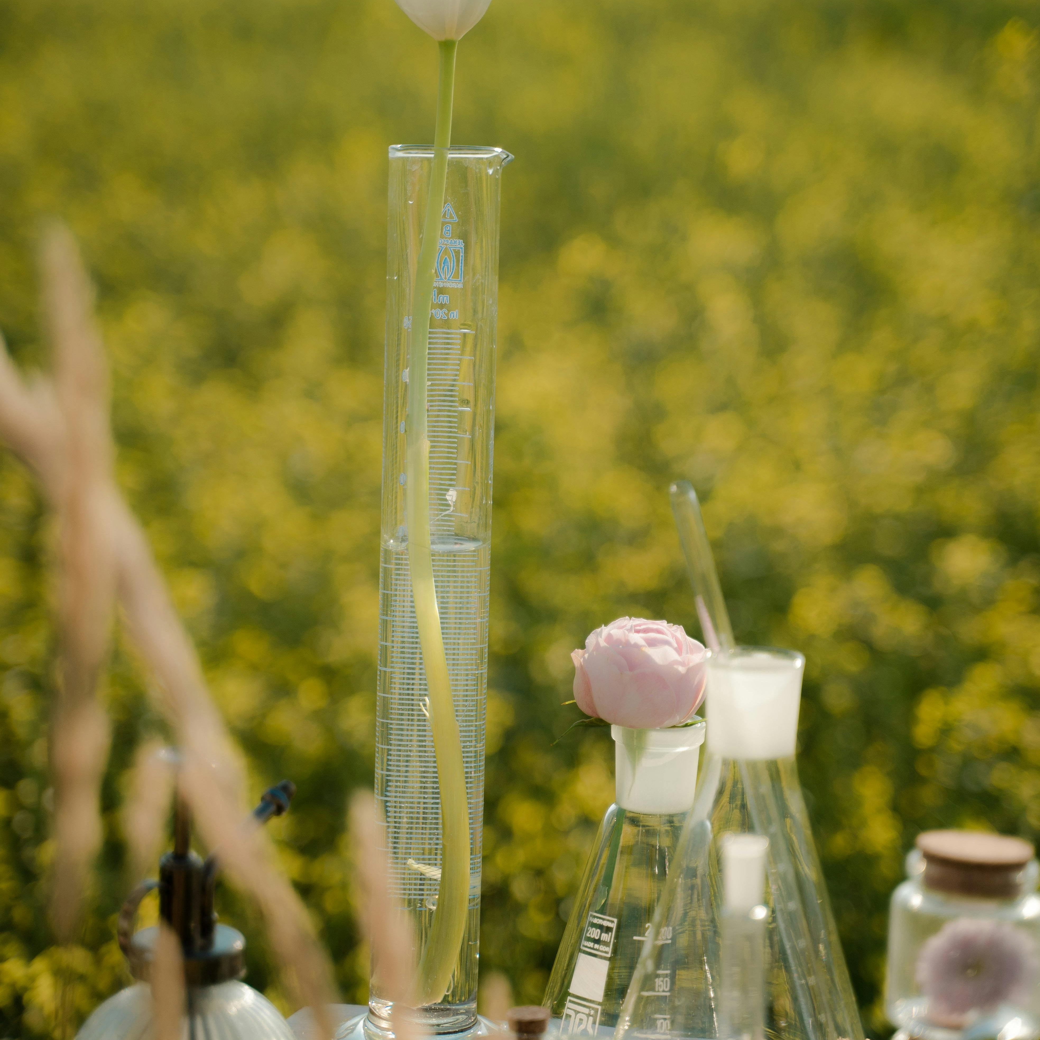 Fact or Fiction?: Clean Beauty