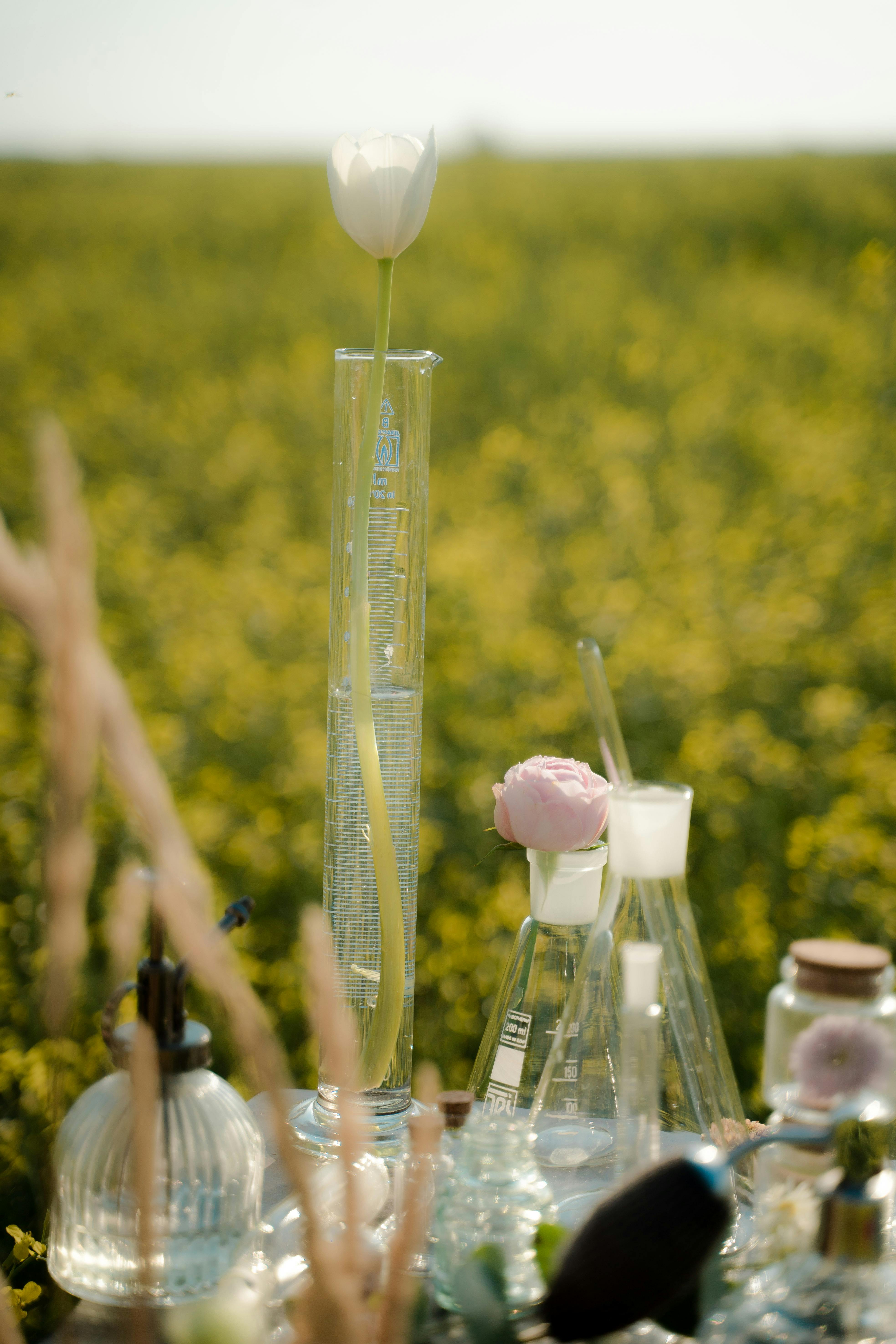 Fact or Fiction?: Clean Beauty